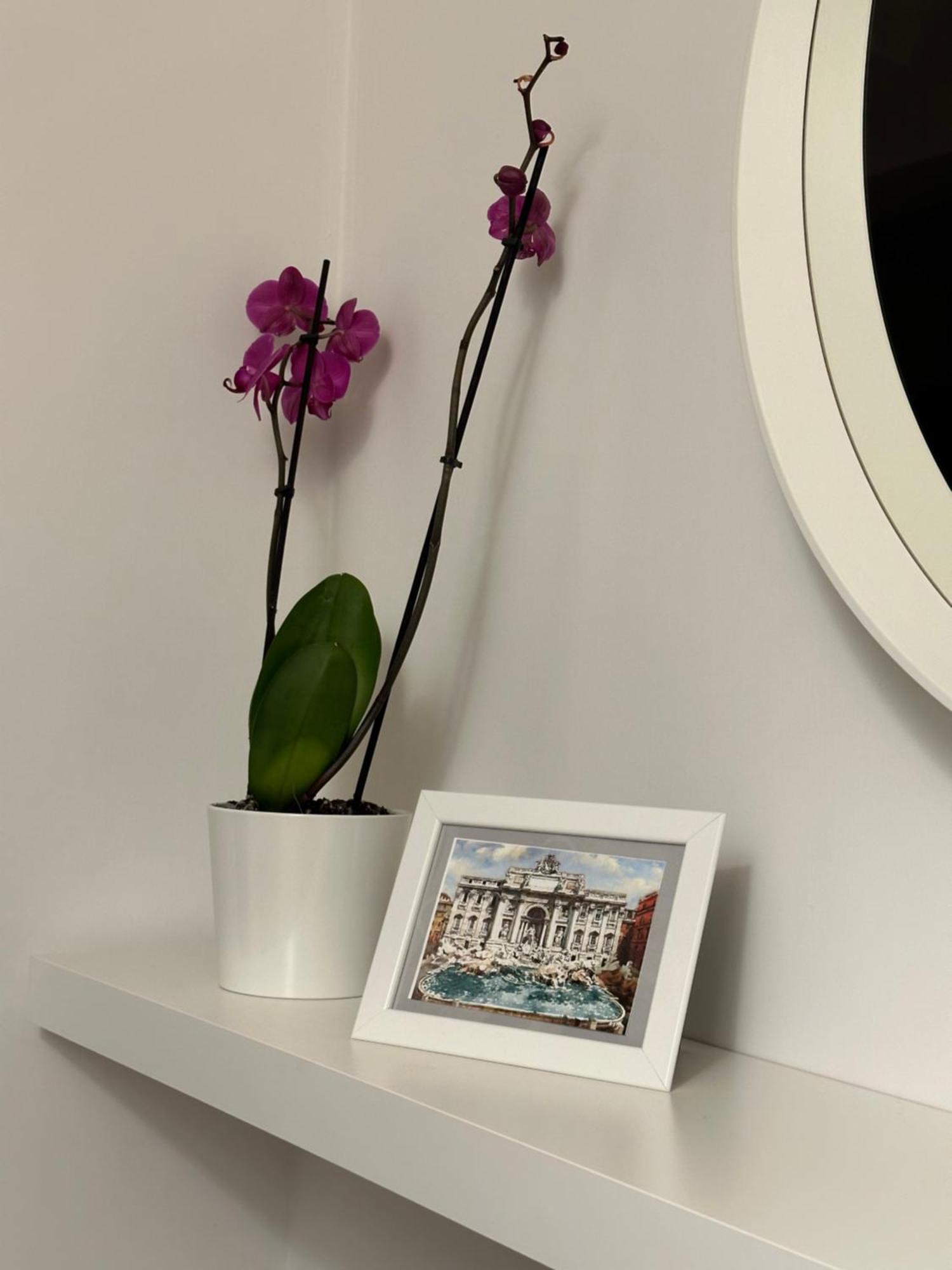 Trithome Suite Boutique Barberini โรม ภายนอก รูปภาพ